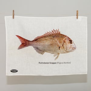 Image of Australasian Snapper Tea Towel