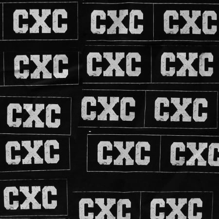 Image of CXC PATCH