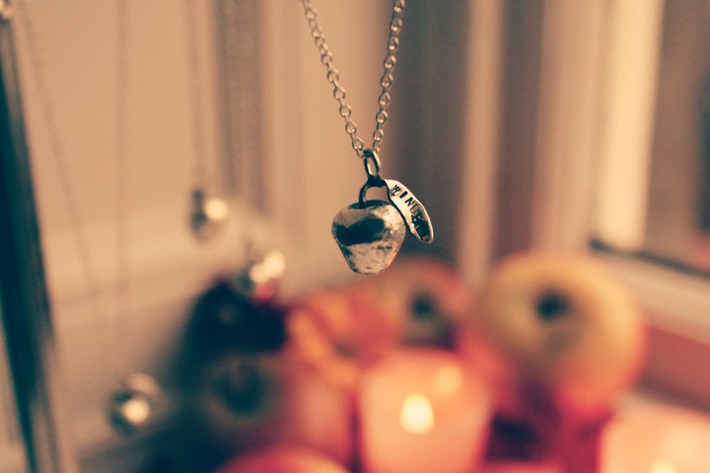 Image of Windfall lucky silver apple necklace - LAST ONE