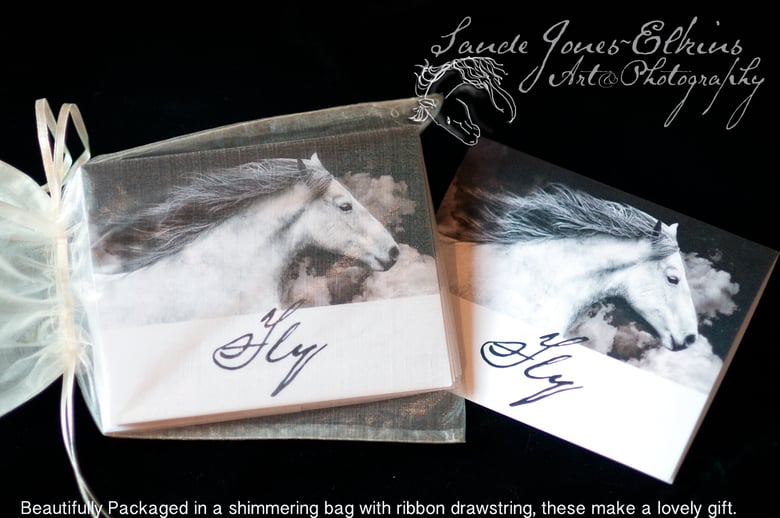 Image of Equine Themed Greeting Card, Just Fly