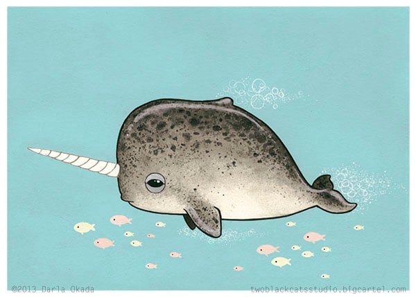 Image of Little Narwhal