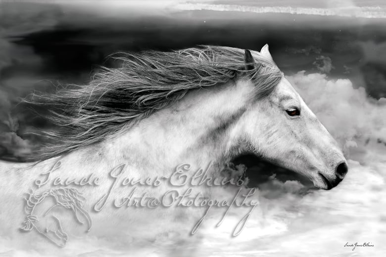 Image of If I Could Fly, 16x24 inch Equine Print