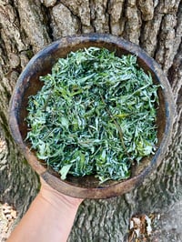 Image 1 of Mugwort Tea | Grown, Hand-Harvested, & Processed on Farm