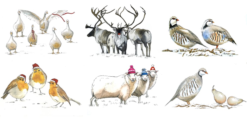 Image of Mixed Pack of 6 Cards