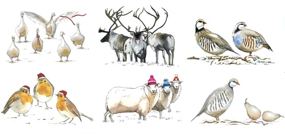 Image of Mixed Pack of 6 Cards