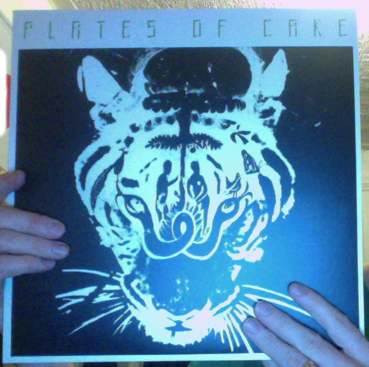 Image of Teenage Evil LP