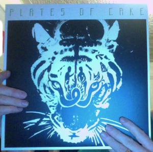 Image of Teenage Evil LP