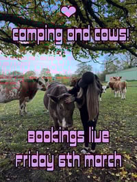 Image 3 of SHE WHO DARES TRIALS EXPERIENCE - APRIL 11TH