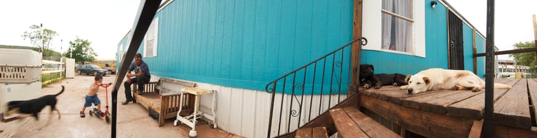 Image of Dogs- Tecolote, NM