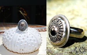 Image of "Opihi Shell Ring"