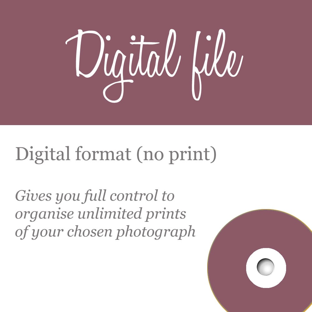Image of Individual digital files