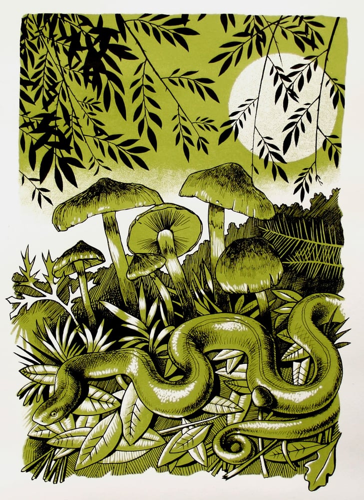 Image of "The Last Snake"