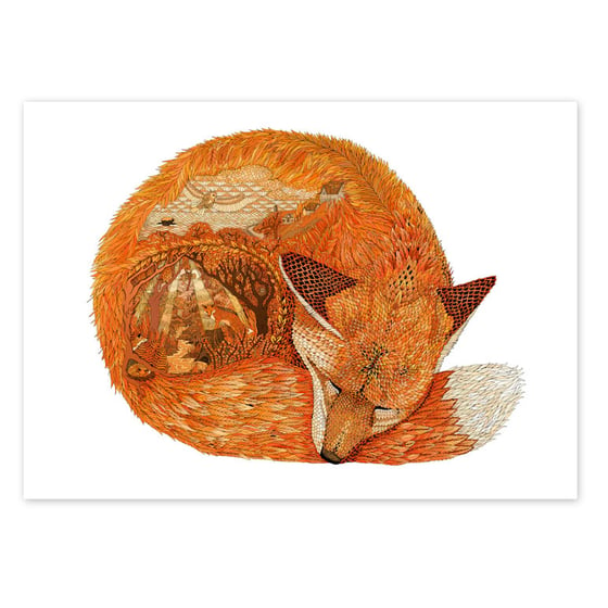 Image of Gwel an Mor Fox