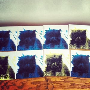 Image of 1097 7" Vinyl