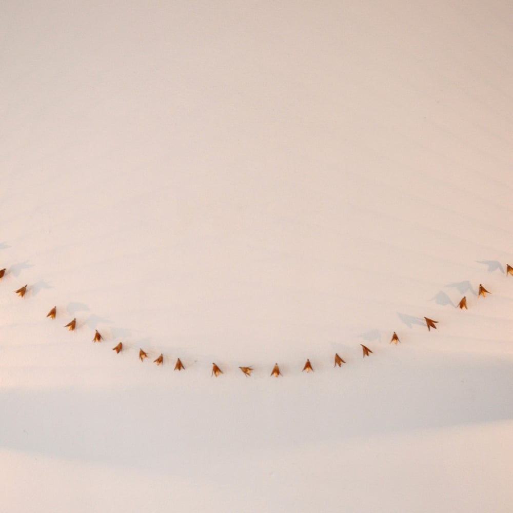 Image of CEDRELA GARLAND