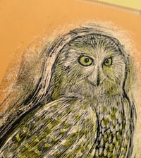 Image 2 of Reconstructed Snowy Owl Orange