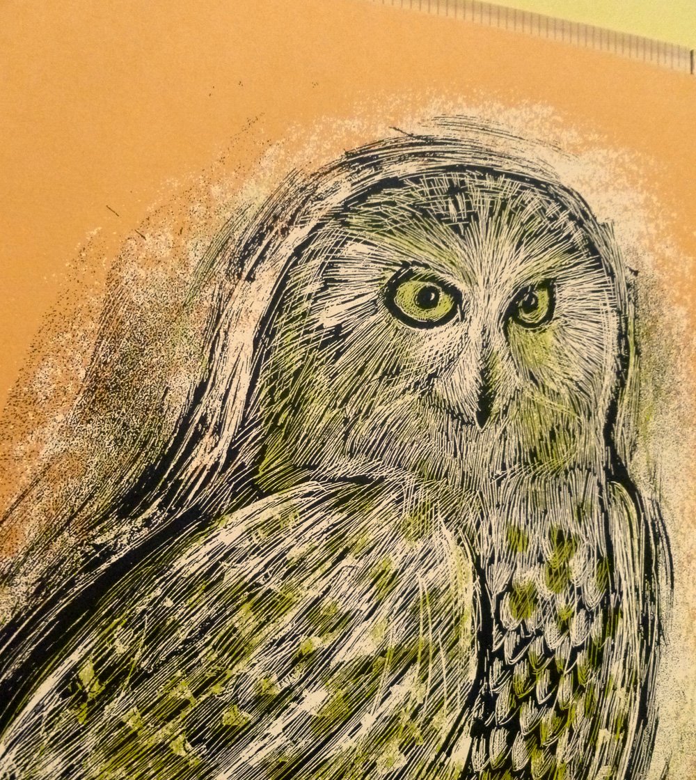 Reconstructed Snowy Owl Orange