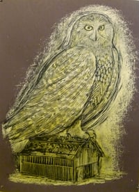 Image 1 of Reconstructed Snowy Owl Chocolate Brown
