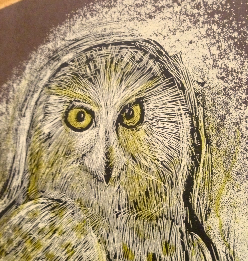 Reconstructed Snowy Owl Chocolate Brown