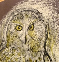 Image 2 of Reconstructed Snowy Owl Chocolate Brown
