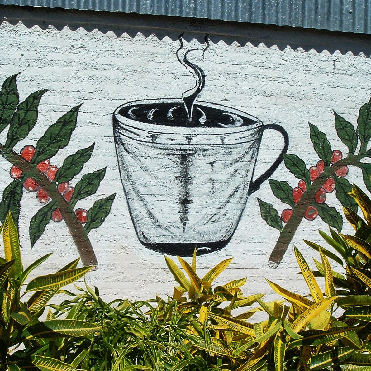 Four Bag Box / Strange Coffee Company