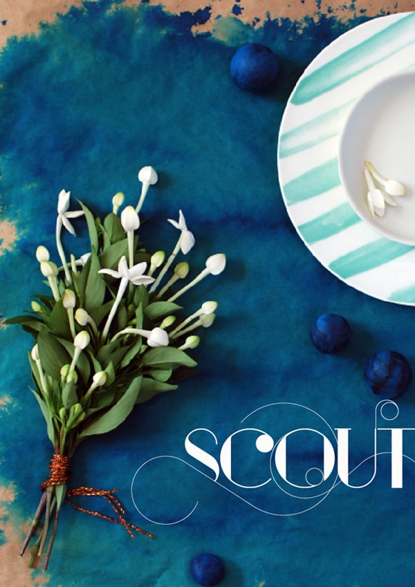Image of S C O U T issue one