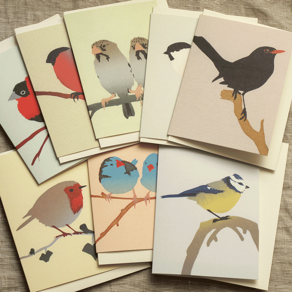 Set of 8 Bird Cards Shop Jill