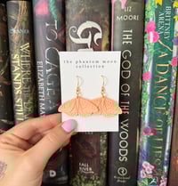 Image 1 of Orange Ombre Moth