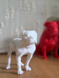 Image 3 of 3D model of your pet 