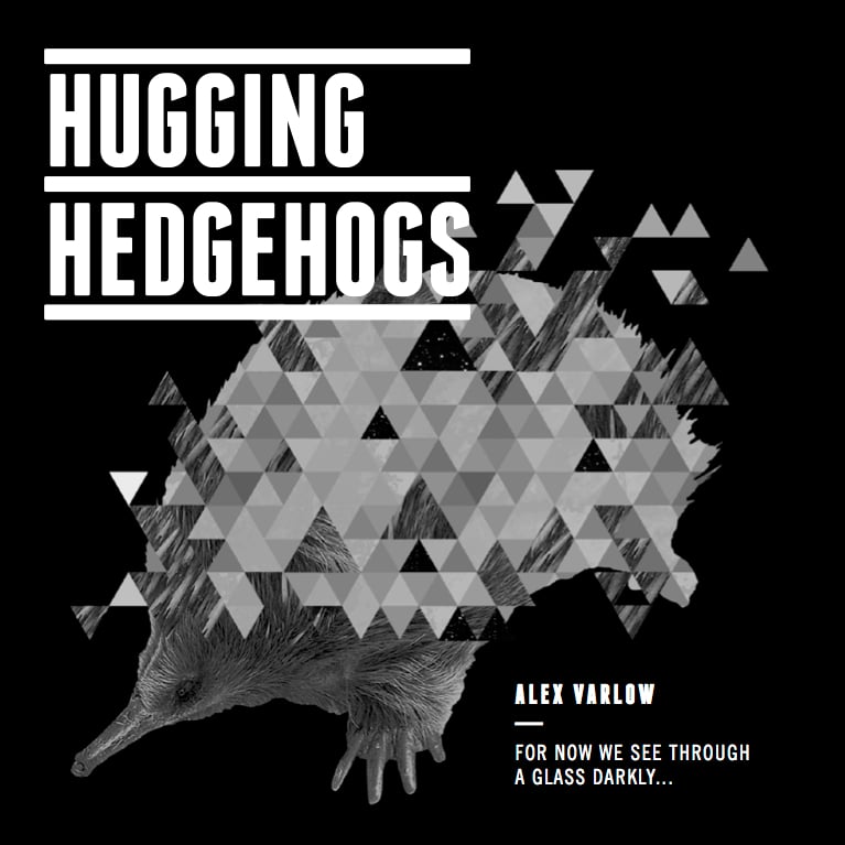 Image of HUGGING HEDGEHOGS (Front Cover)