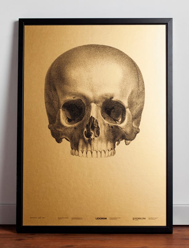 Image of We Die For Beauty Limited Edition Poster