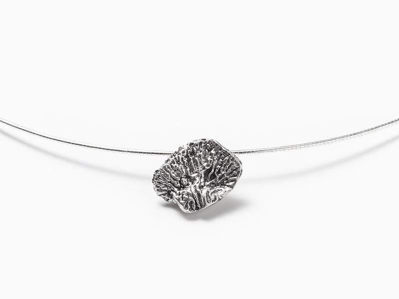 Image of Amanita pendentif