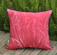 Image 1 of Pink Grass