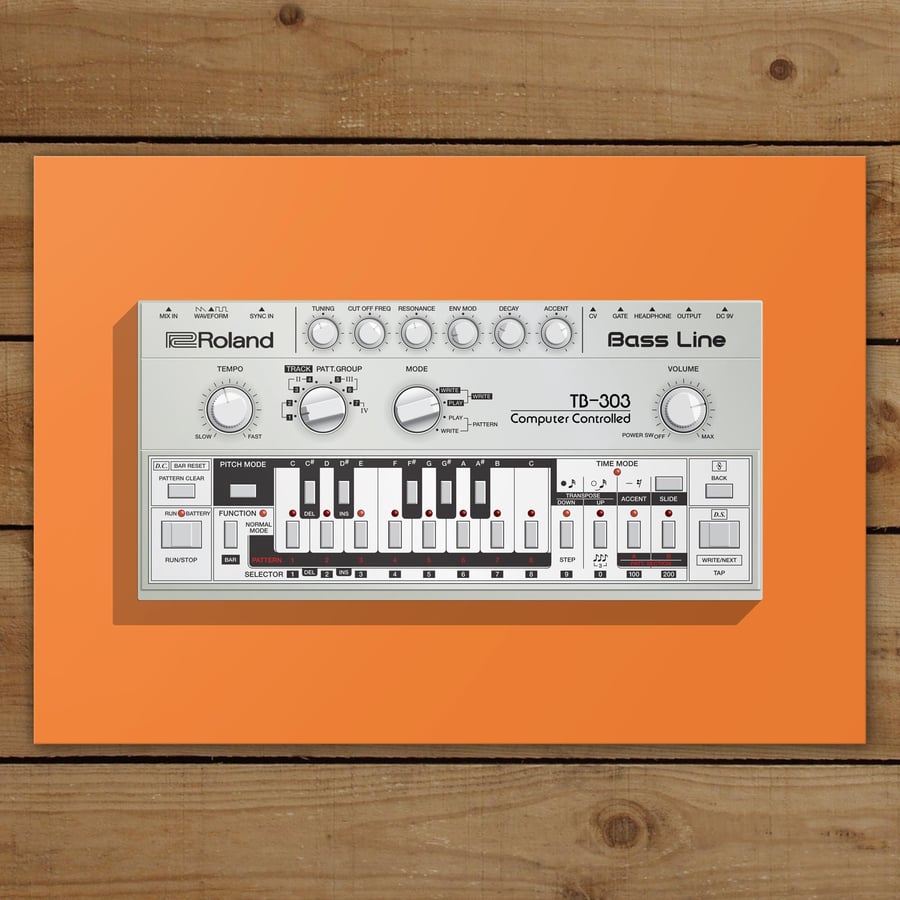 Image of TB-303 Mounted Canvas