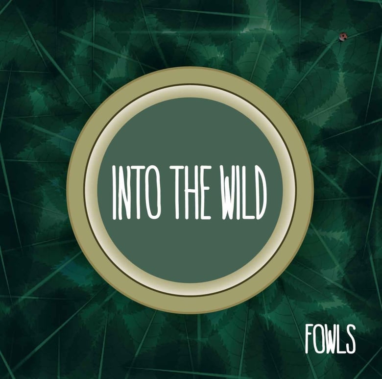 Image of Fowls - Into the Wild - 12" LP w/free digital download