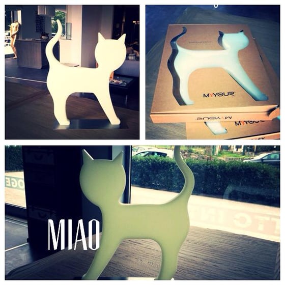 Image of Gatto by Myyour