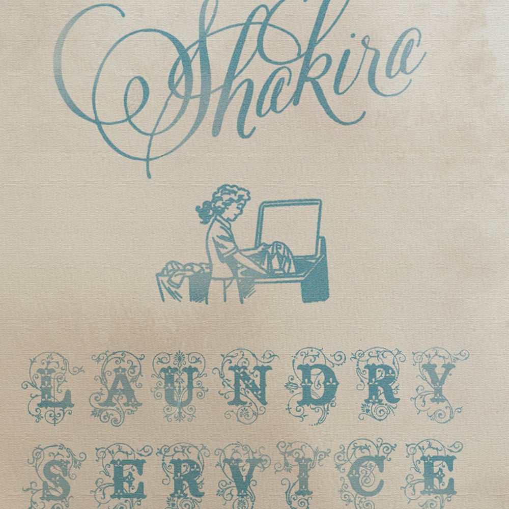 Image of Laundry Service Art Print