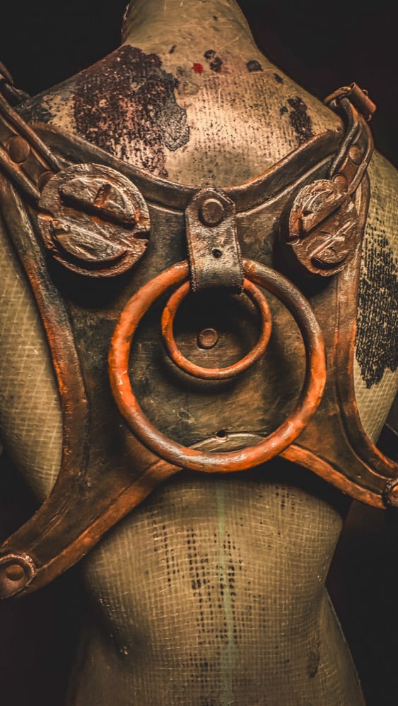 Leather Wasteland Harness