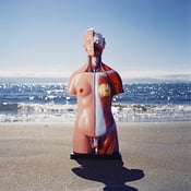 Image of (Herm)Aphrodite - 8.5x11 - Print