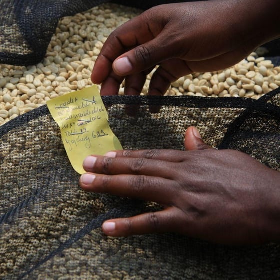Image of Rwanda Kinini Village natural process
