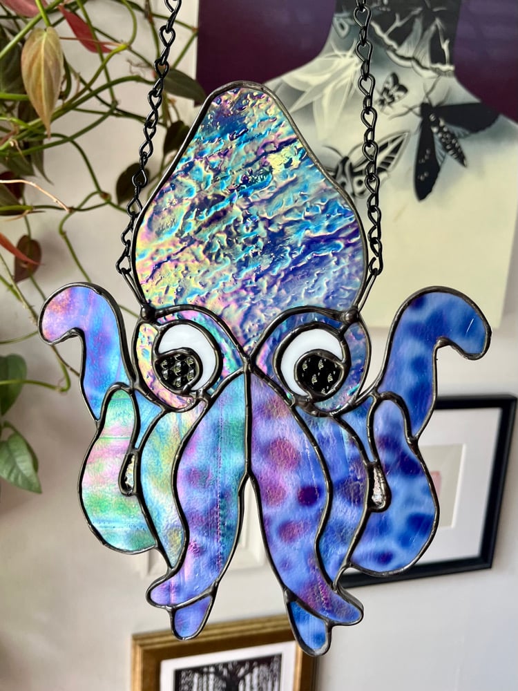 Image of Squid 