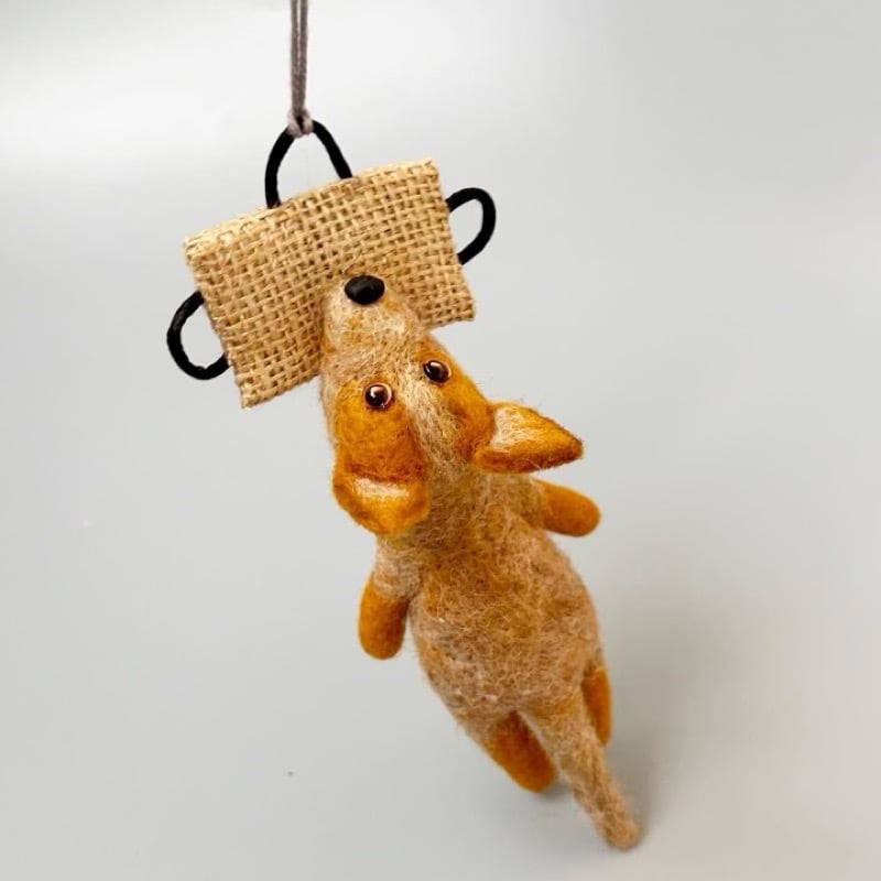 Australian Cattle Dog 