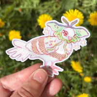 luna moth pigeon sticker
