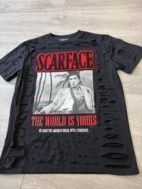 Image 1 of Large Scarface destroyed 