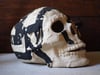 Single skulls choose your favourite from $190