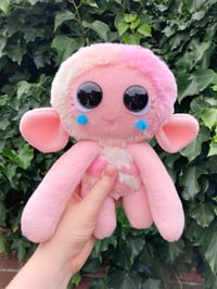 Image 4 of Rosey the Jumbo Sheep