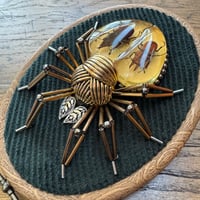 Image 3 of Specimen spider (a, 4x5  inches)