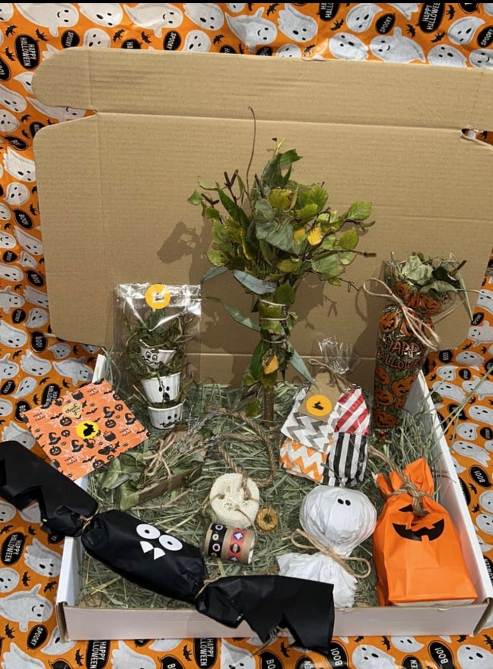 Image of October ‘SPOOKY Halloween’ enrichment toy and forage box
