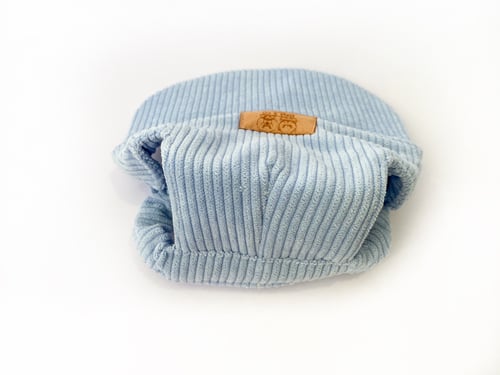 Image of Baby Blue Corduroy Pet Hat