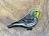 Image 2 of Serin - No.184 - UK Birding Pins